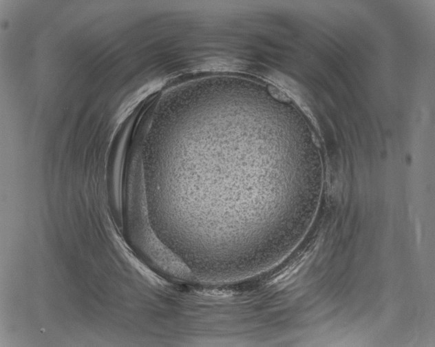 X0000065980437200603061218