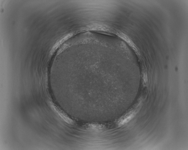 X0000065980442200603061218