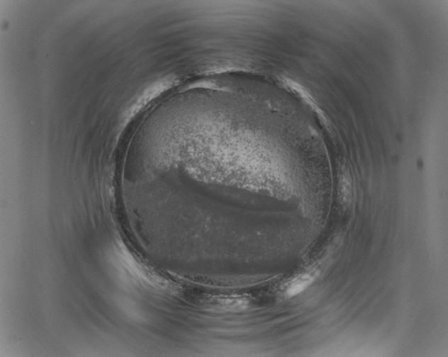 X0000065980443200603061218