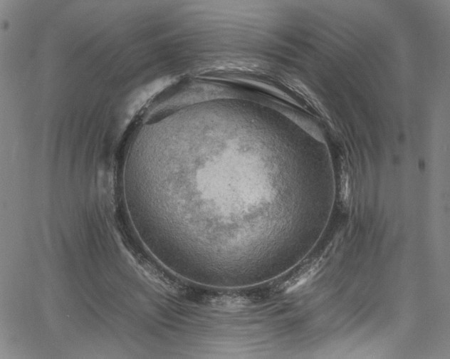 X0000065980444200603061218