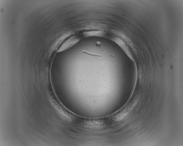 X0000065980445200603061218