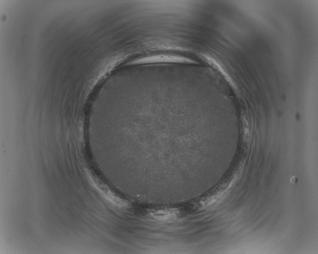 X0000065980447200603061218