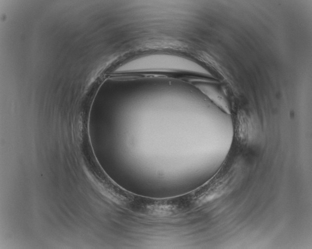 X0000065980448200603061218