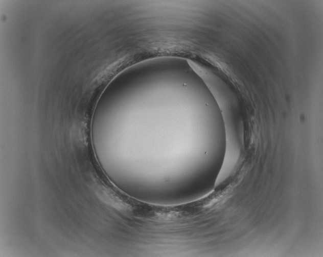 X0000065980450200603061218