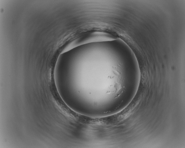 X0000065980454200603061218