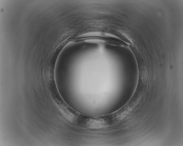 X0000065980455200603061219