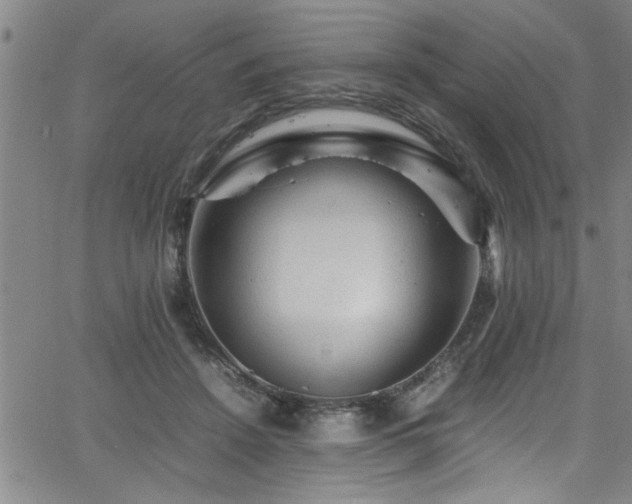 X0000065980456200603061219