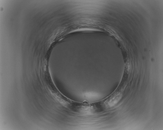 X0000065980458200603061219