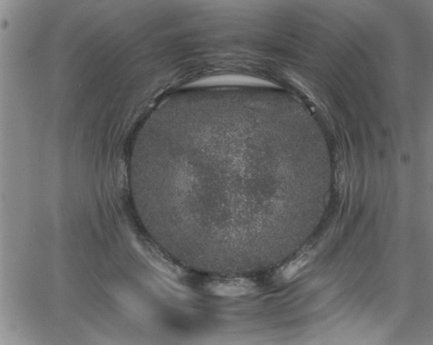 X0000065980459200603061219