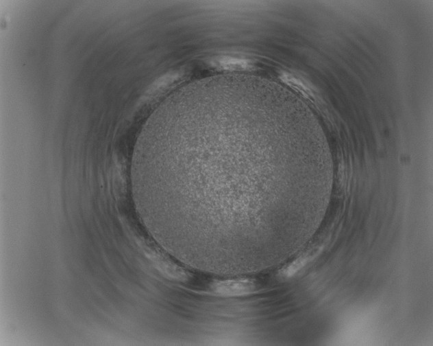 X0000065980461200603061219