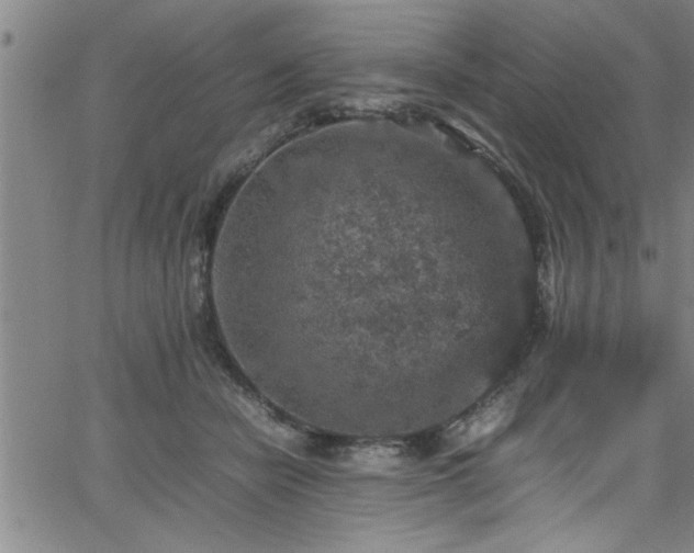 X0000065980462200603061219