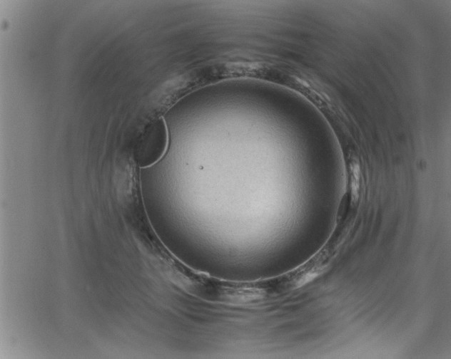 X0000065980463200603061219