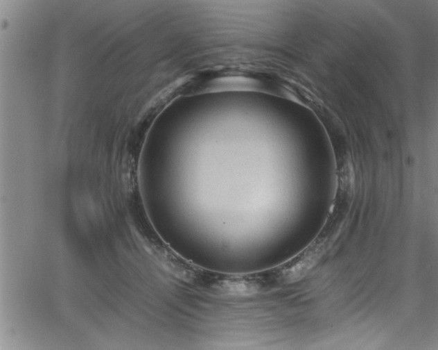 X0000065980464200603061219