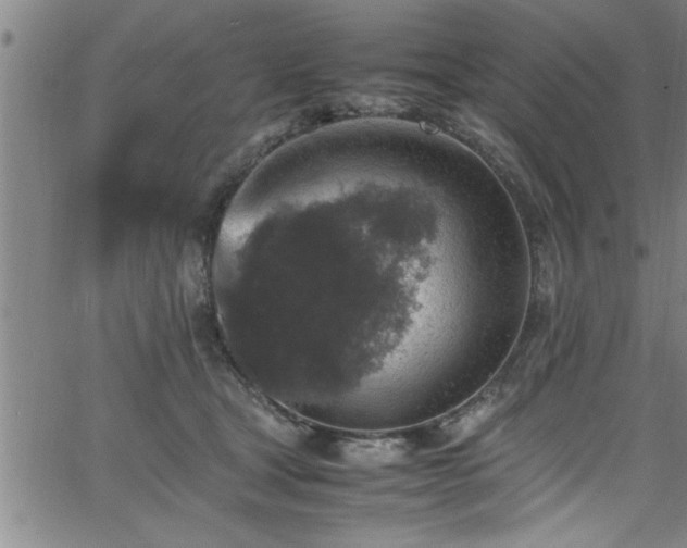 X0000065980465200603061219