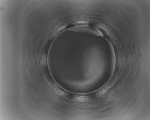 X0000065980467200603061219