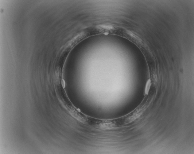 X0000065980468200603061219