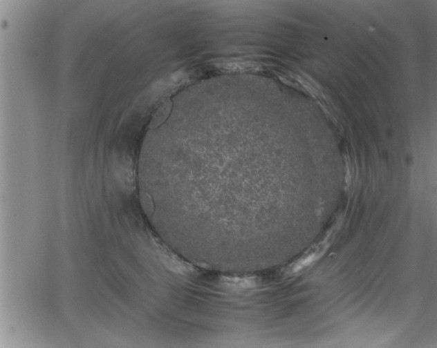 X0000065980469200603061219