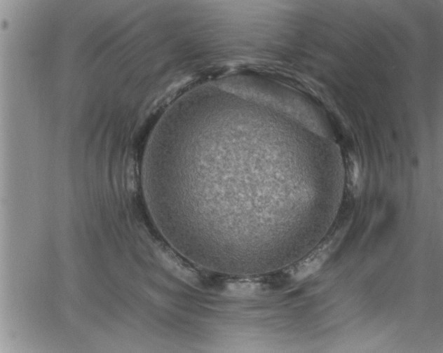 X0000065980470200603061219