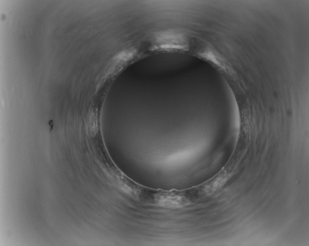 X0000065980471200603061219