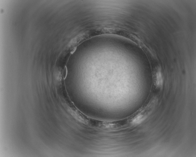 X0000065980472200603061219