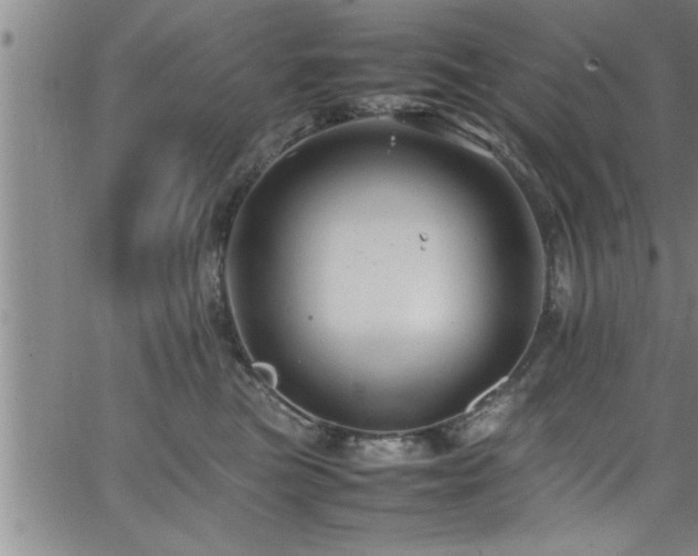 X0000065980473200603061219