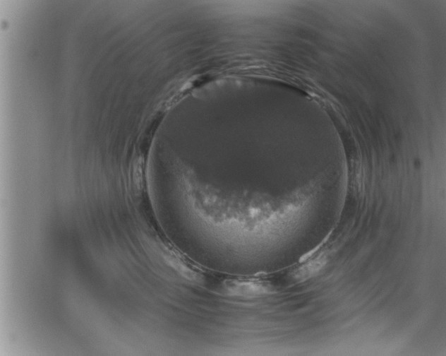 X0000065980475200603061219