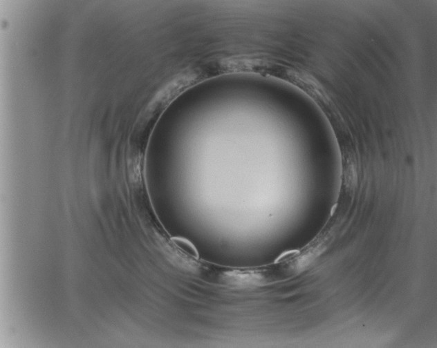 X0000065980477200603061219