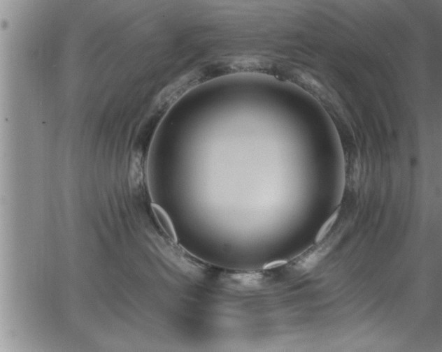 X0000065980478200603061219