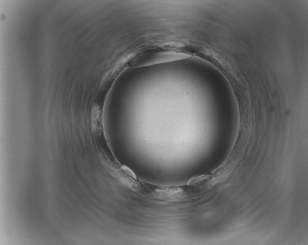 X0000065980480200603061219