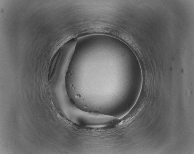 X0000065980481200603061218