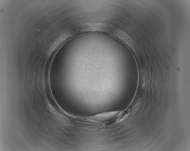 X0000065980482200603061218