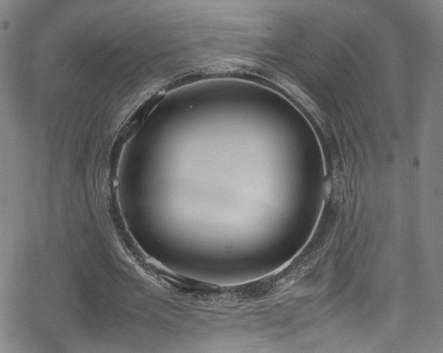 X0000065980485200603061218