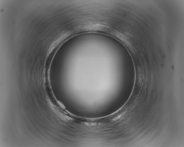 X0000065980486200603061218