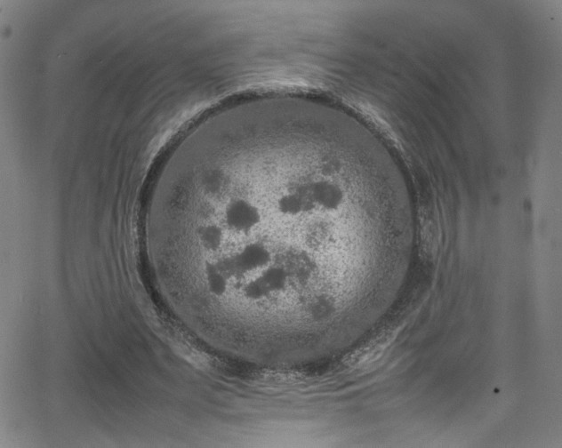 X0000065980487200603061218