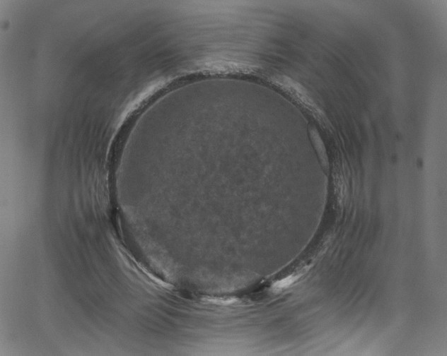 X0000065980488200603061218