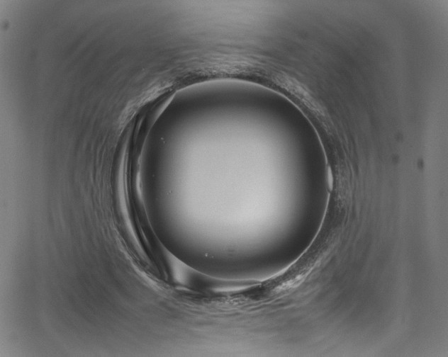 X0000065980489200603061218