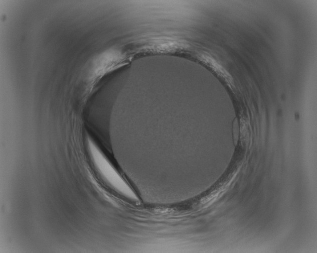 X0000065980493200603061218