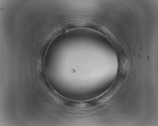 X0000065980497200603061218