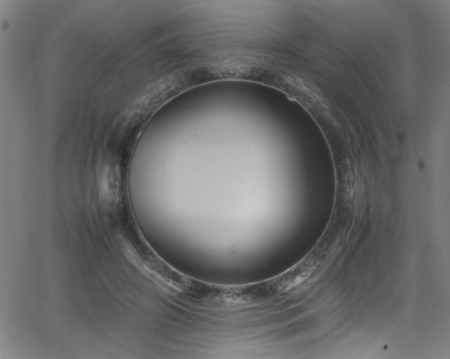 X0000065980498200603061218