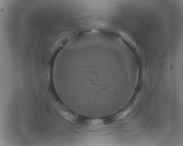 X0000065980501200603061218