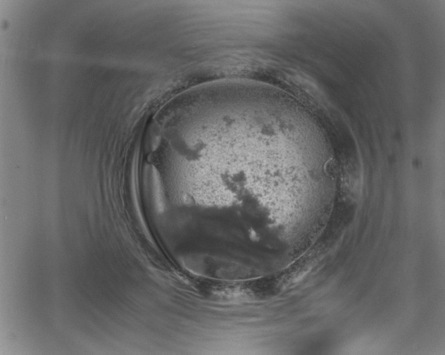 X0000065980503200603061218