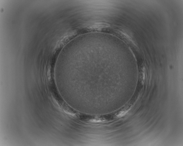 X0000065980504200603061218