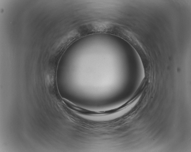 X0000065980505200603061218