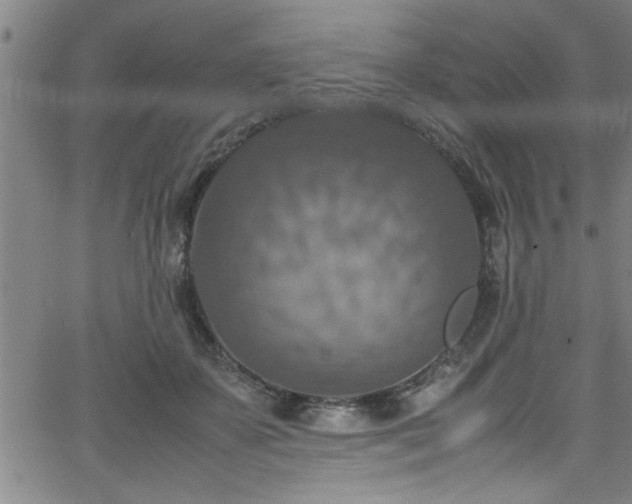 X0000065980507200603061218