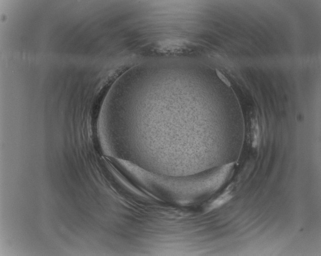 X0000065980508200603061218