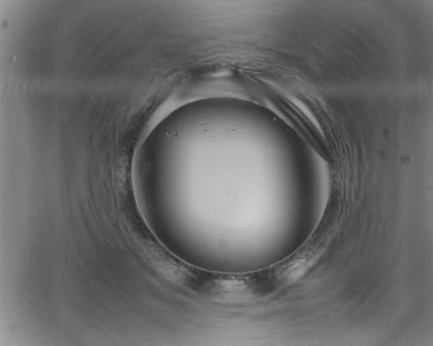 X0000065980509200603061218