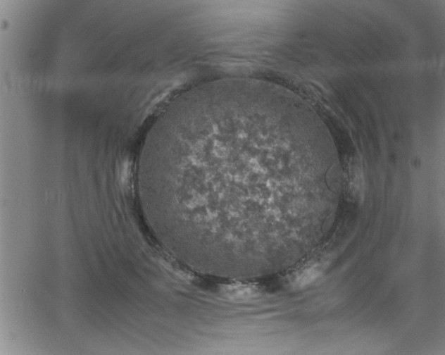 X0000065980511200603061218