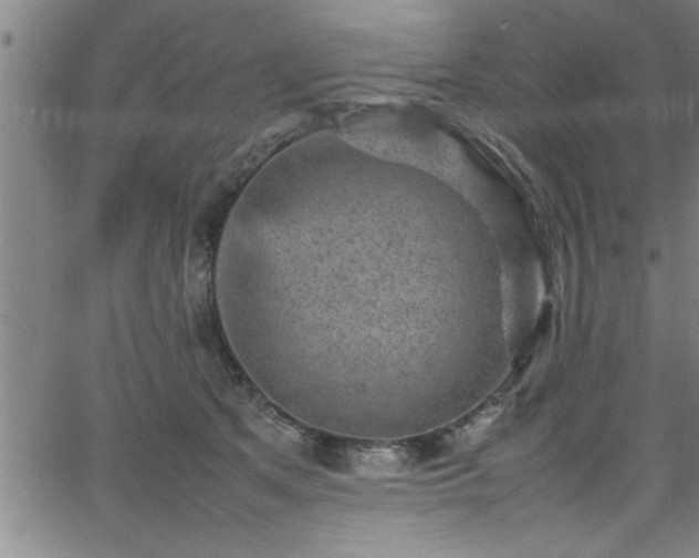 X0000065980513200603061218