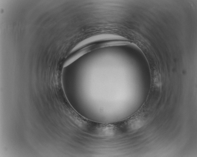 X0000065980514200603061218