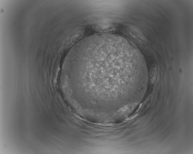 X0000065980515200603061218